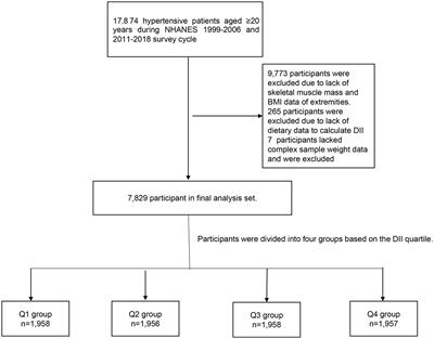 Dietary inflammatory potential is associated with sarcopenia in patients with hypertension: national health and nutrition examination study